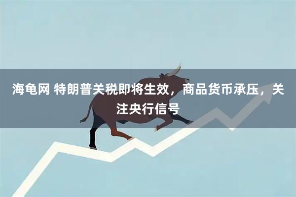 海龟网 特朗普关税即将生效，商品货币承压，关注央行信号