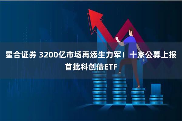 星合证券 3200亿市场再添生力军！十家公募上报首批科创债ETF