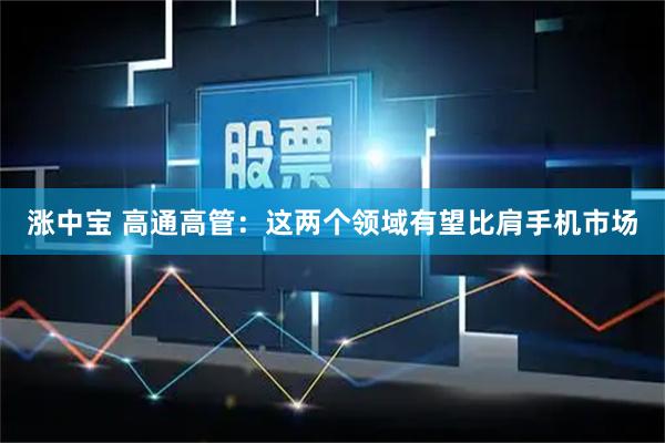 涨中宝 高通高管：这两个领域有望比肩手机市场