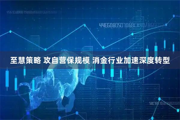 至慧策略 攻自营保规模 消金行业加速深度转型
