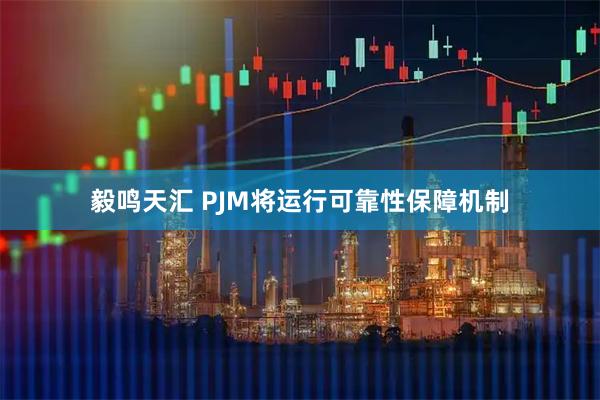 毅鸣天汇 PJM将运行可靠性保障机制