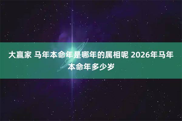 大赢家 马年本命年是哪年的属相呢 2026年马年本命年多少岁