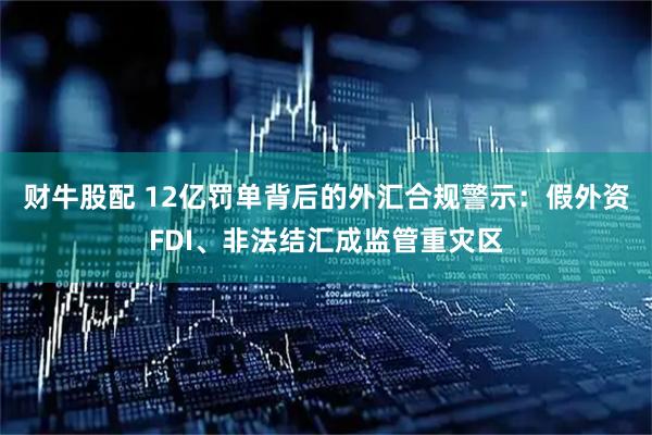 财牛股配 12亿罚单背后的外汇合规警示：假外资FDI、非法结汇成监管重灾区